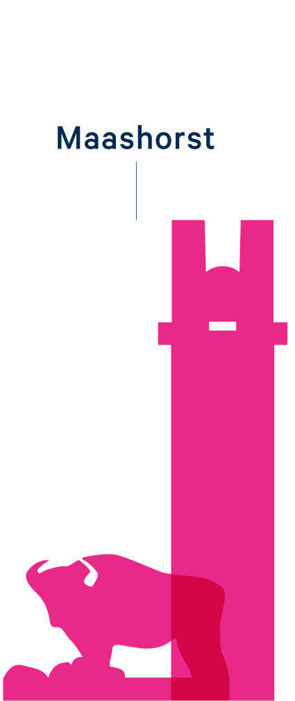 Skyline-NO-Brabant_Maashorst active Skyline-NO-Brabant_Maashorst active